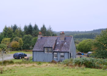 DSCF1647